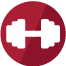 Physical Fitness (P-Fit) icon